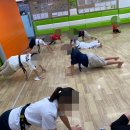 해빛태권도장 이미지