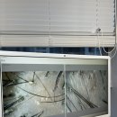 화메디 | 부산에스테틱 동래두피관리 추천 헤드스파 후기 더노블 메디센터