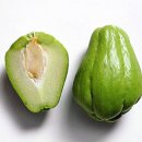 차요테 chayote 이미지