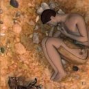 냥이시대 이미지