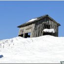 성교목장 이미지