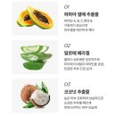위시포포 이미지