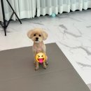 오늘의개스트 이미지
