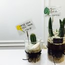 양덕동220 이미지