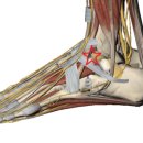 마디바름한의원 이미지