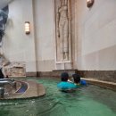 메가월드스파 | 《홍천》아이들 여행가서 체력빼는곳 오션월드