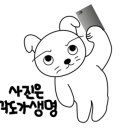 벚꽃분식 이미지