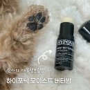 강아지발바닥 | 하이포닉 모이스트 버터밤 강아지 발바닥 보습 관리 후기