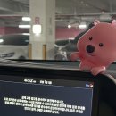 용산부부한의원 | [난임일기] 40대 난임 부부, 다시 시작하는 시험관, 병원 전원, 반착검사, 부부염색체 검사 기록