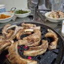 51 | 울산 언양 쪽갈비 맛집 : 신바람난돈쪽갈비 양념구이&amp;소막창 내돈내산 후기