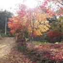 평화민박 이미지