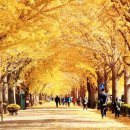 온양온천역 관광안내소 이미지