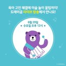 도레미치킨