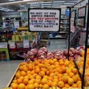 사천농협하나로마트 이미지