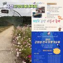 곤양체육시설 | 경남 사천 10월 곤양비봉내축제 &amp; 곤양면 테마길 여행기