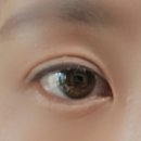 수유역 속눈썹펌 완벽한 컬과 편안한 시술로 만족했던 더림제이 수유점 솔직후기