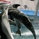 돌고래공인중개사사무소 이미지