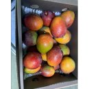 애플망고 이미지