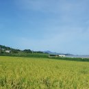 자운농장 이미지