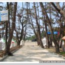 가마미해수욕장 이미지