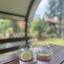 강동로-37 이미지