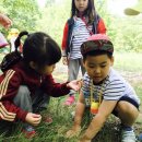 하늘다솜어린이집 이미지