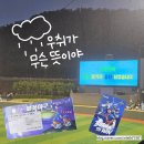 2025 불꽃야구 시즌 총 정리, 직관 후기 모음