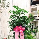 상남동279 이미지