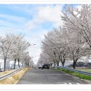 수변공원길 이미지