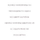 라임프로치과