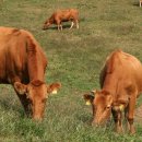 김용섭농장 이미지