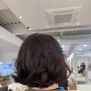 정동호뷰티힐