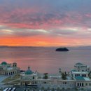 진도개패밀리 이미지