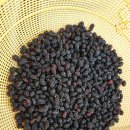 도원농장 이미지