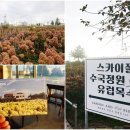 블랜드미(BLENDMI) 이미지