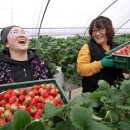 우애농장 이미지