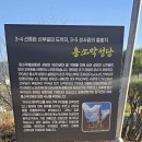 탁사정 이미지