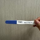 남양주 풍양보건소 | [임신 4주차] 임신확인서, 남양주 풍양보건소 임산부등록, 임신 4주차 증상