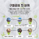 코미꼬