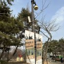 2023 데이 데이 콘서트 Ⅰ 페퍼톤스 X 나상현씨밴드 | [공연후기]2023 데이 데이 콘서트 페퍼톤스 x 나상현씨밴드