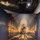 금화안경 | 해리포터 마호도코로 팝업 스토어 굿즈 가격 위치- 스타필드 코엑스몰