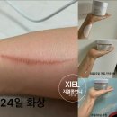 지엘화장품 이미지