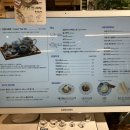 에반스티하우스