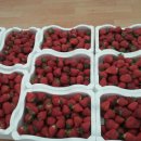 기두농장 이미지