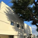 STAY Guest house 이미지