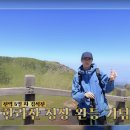 드림코리아 태권도 | 활자중독자의 일상