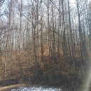 문산읍-8 이미지