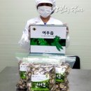 신벌농장 네이버블로그
