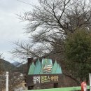 알프스캠핑장 | [캠핑 기록] 울산 캠핑장 등억 알프스 캠핑장 후기 / 크리스마스캠 / 등억오토캠핑장 1번 싸이트