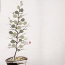 수묵캘리그라피(상당) 이미지